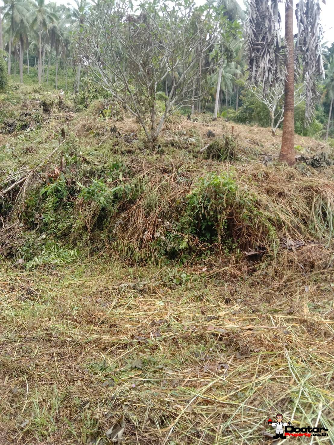 7 Rai Land Parcel – Na Muang – Koh Samui – for sale